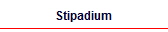 Stipadium